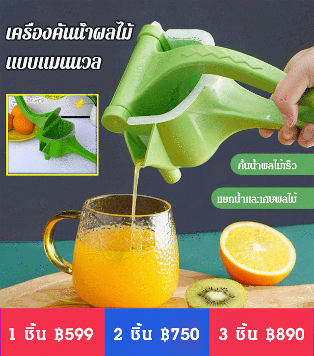 เครื่องคั้นน้ำผลไม้แบบแมนนวลรุ่นฮิต