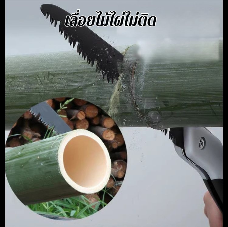 1_24.jpg