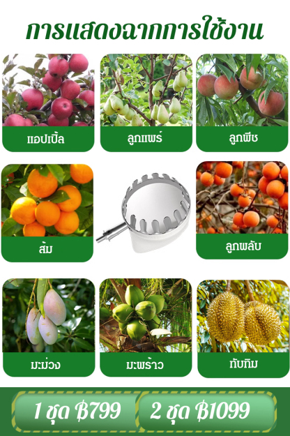 ตะกร้อสอยผลไม้แบบยืดไสลด์