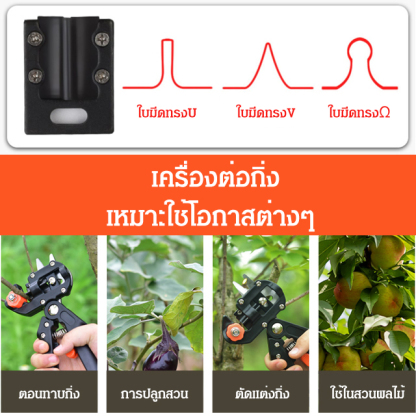 เครื่องตอนทาบกิ่ง