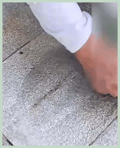 123_11.gif