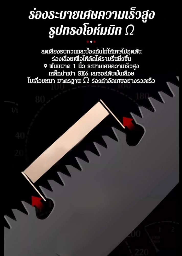 1_30.jpg