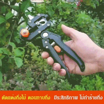 เครื่องตอนทาบกิ่ง
