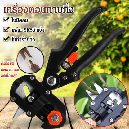 เครื่องตอนทาบกิ่ง