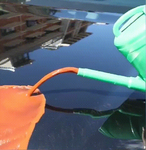 1618906294863276.gif