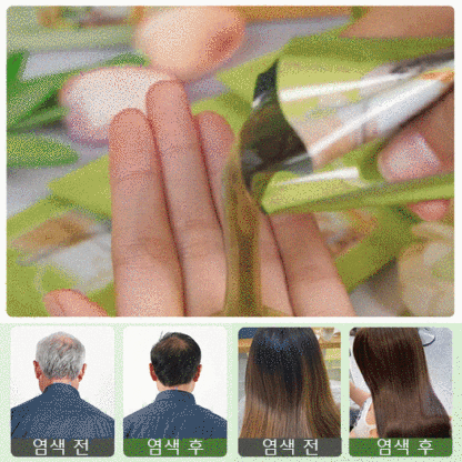 식물 추출 버블 염색제