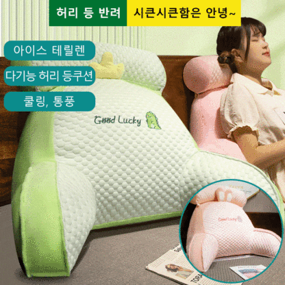 아이스 테릴렌 다기능 허리 등쿠션