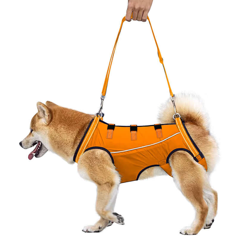 giipet-犬用介護ハーネス　歩行補助・老犬の介護に　-Giipet