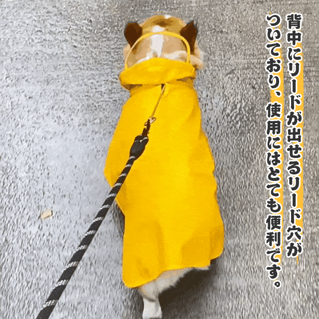 Giipet-ペット用レインコート 犬 猫 完全防水 速乾 マジック