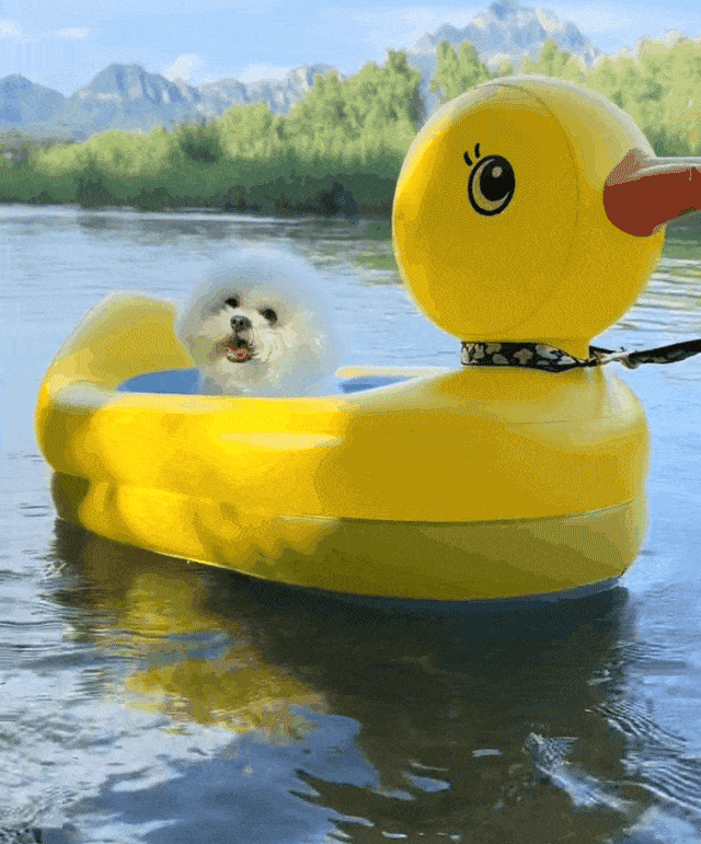 171dfhdfh8849dfhdfjhfg679694.gif