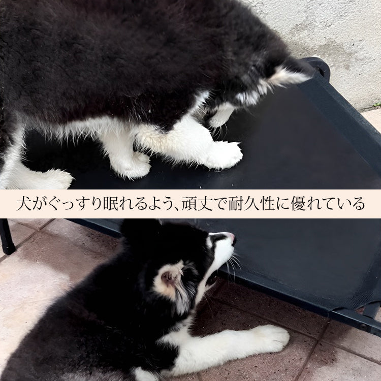 giipet-ペットベッド　スチールフレーム　噛み付き防止　引っかき傷に強い　高耐荷重-Giipet