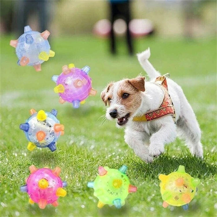 giipet-ペットジャンピングボール　愛犬の健康を守る　ストレス・運動不足解消　光る　面白い-Giipet