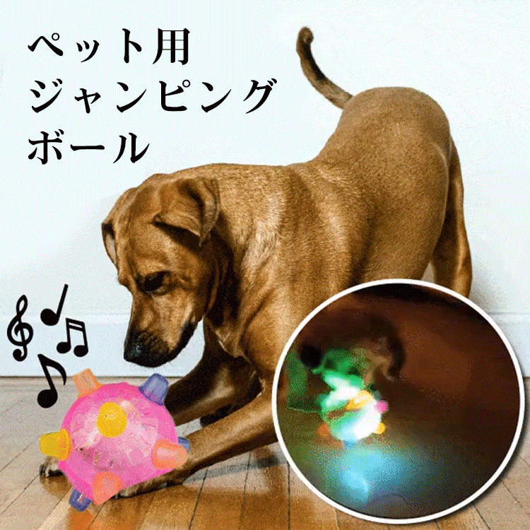 giipet-ペットジャンピングボール　愛犬の健康を守る　ストレス・運動不足解消　光る　面白い-Giipet