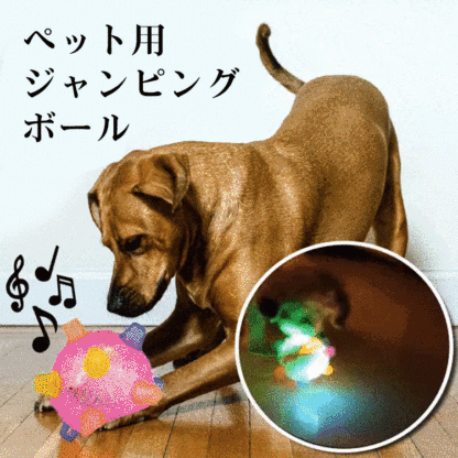 giipet-ペットジャンピングボール　愛犬の健康を守る　ストレス・運動不足解消　光る　面白い-Giipet
