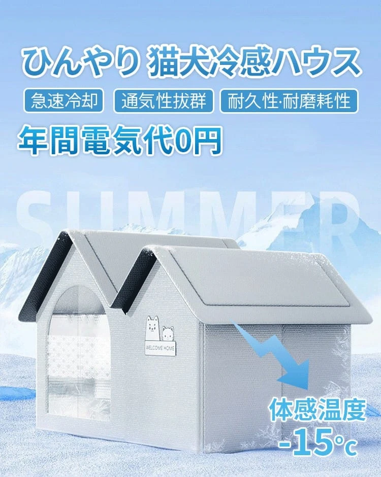 23523w4tgeryh34yuhru6ji65ytkryk6_01.webp