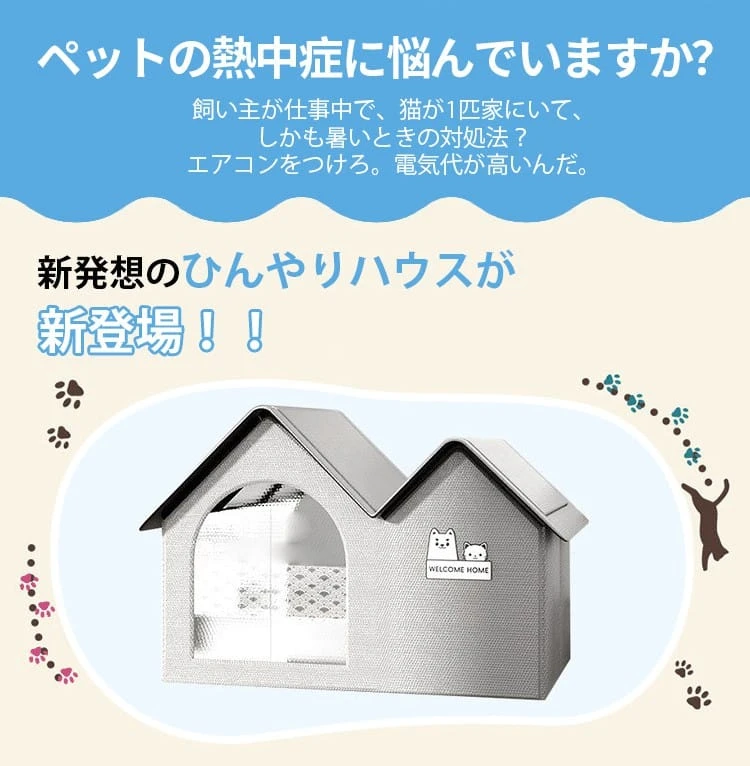 23523w4tgeryh34yuhru6ji65ytkryk6_02.webp