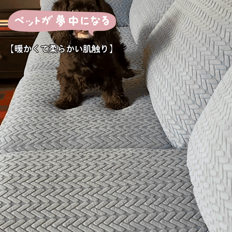 giipet-ソファカバー　フルカバー　簡単装着　ひっかき傷に強い-Giipet