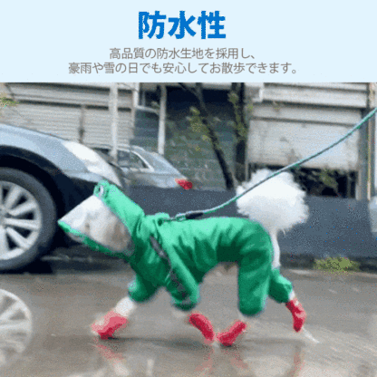 25235drhy5urt6jrt.gif