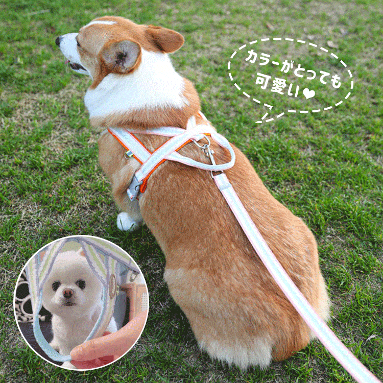 giipet-ペットハーネス　リードかわいい　引っ張り防止　抜けにくい　脱着便利
