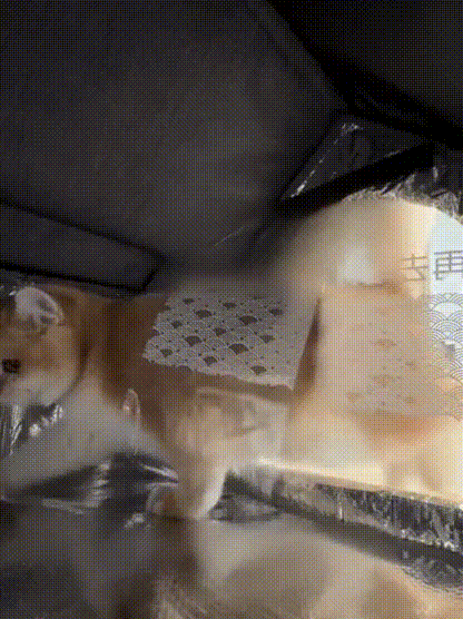 32532twegse32yw443ehrr4her.gif