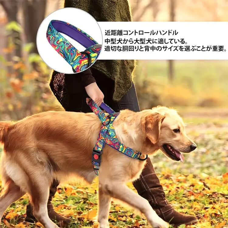 Giipet-ペットハーネス カラフル カジュアル 引っ張り防止 調節可能