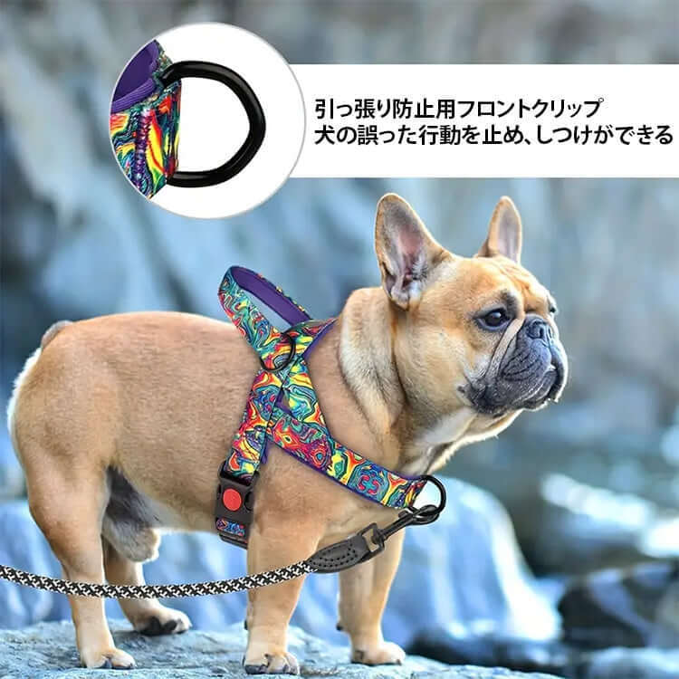 giipet-ペットハーネス　カラフル　カジュアル　引っ張り防止　調節可能-Giipet
