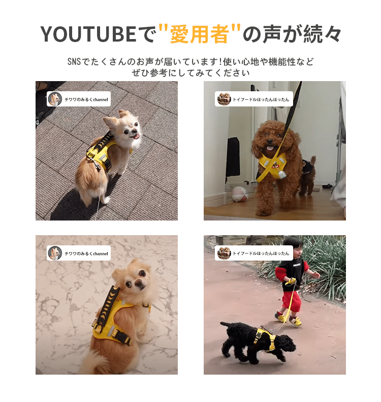 Amazon.co.jp: 犬用リード 3M-5Mの耐久性のある犬のひもの自動