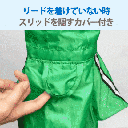 34634ftjr546ijyyytk45uf.gif
