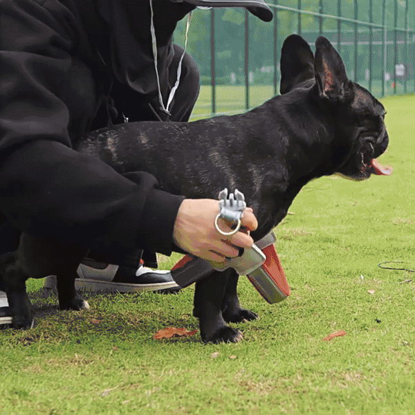 giipet-犬用ハーネス　Y字型　通気性　反射機能　-Giipet