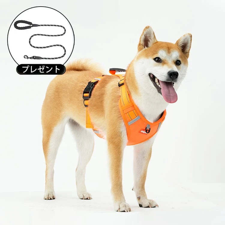 GIIPET-ペット用ハーネス　引っ張り防止　一体式　脱着簡単　反射機能　グリップ付き-Giipet