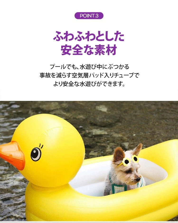 34754785drhurertu54rtji64irt_10.webp