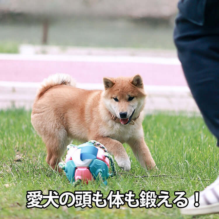 giipet-犬用おもちゃ　ボール　様々な遊び方　変形可能　運動不足・ストレス解消-Giipet