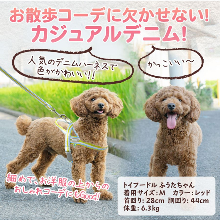 giipet-ペットハーネス リードかわいい 引っ張り防止 抜けにくい 脱着便利