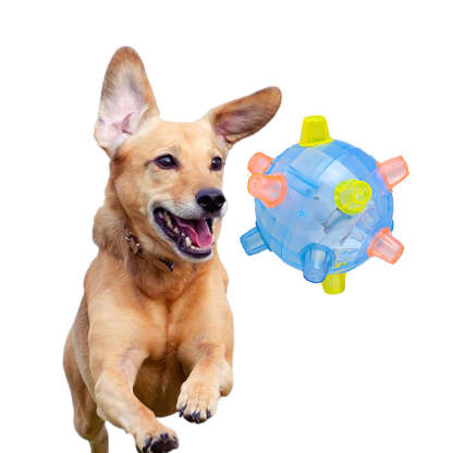 giipet-ペットジャンピングボール　愛犬の健康を守る　ストレス・運動不足解消　光る　面白い-Giipet