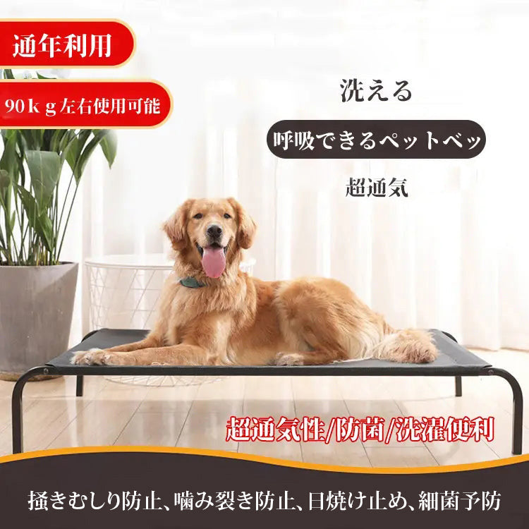 giipet-ペットベッド　スチールフレーム　噛み付き防止　引っかき傷に強い　高耐荷重-Giipet