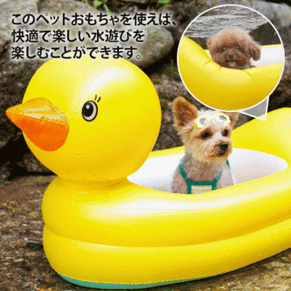 水遊びプール　お風呂　かわいい　安全安心