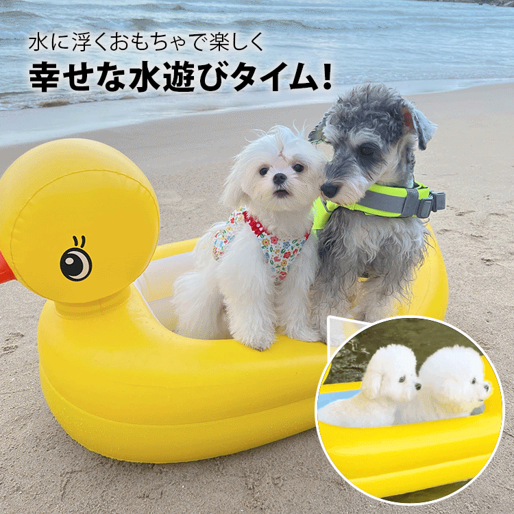 子供用プール ペット用プール 犬用プール