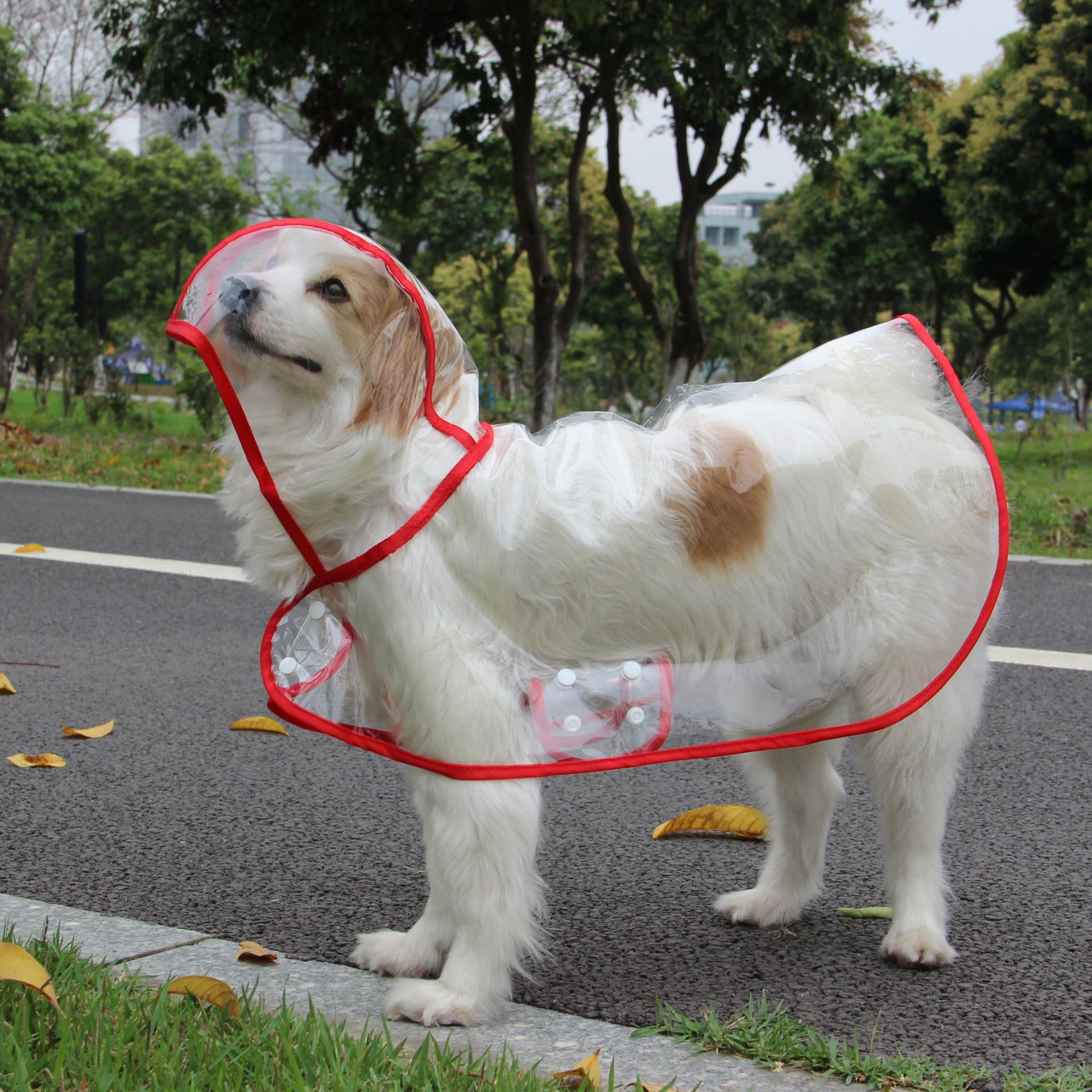 犬用レインコート