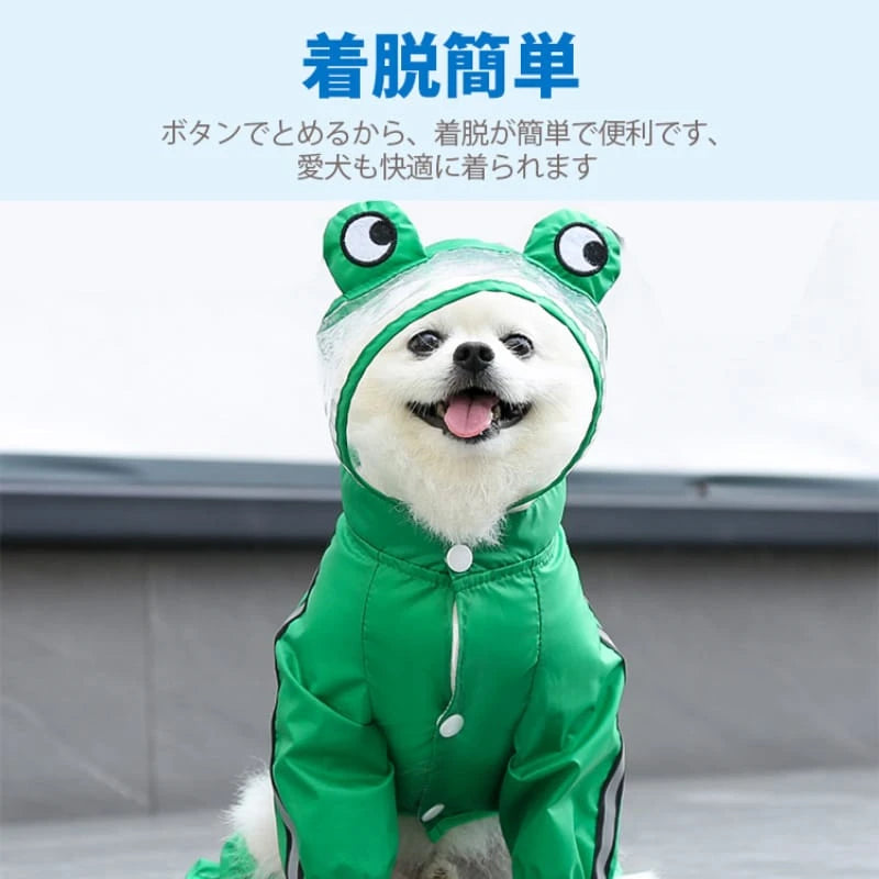 DHERYH5RH64JUT51.webp