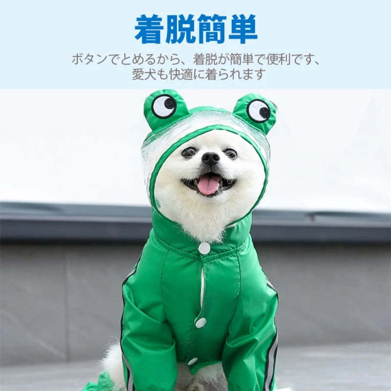 DHERYH5RH64JUT51.webp