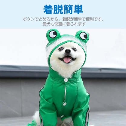 DHERYH5RH64JUT51.webp