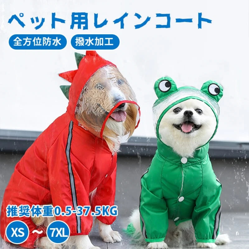 DHERYH5RH64JUT574.webp