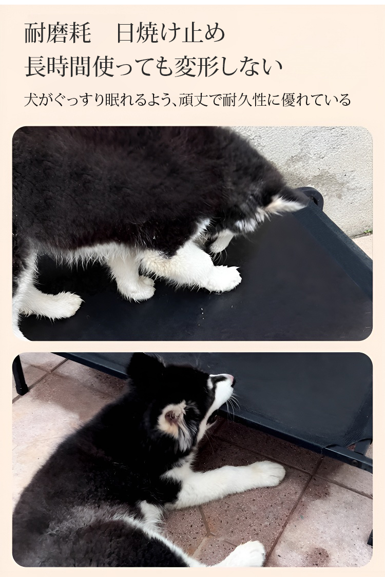 详情_06.jpg