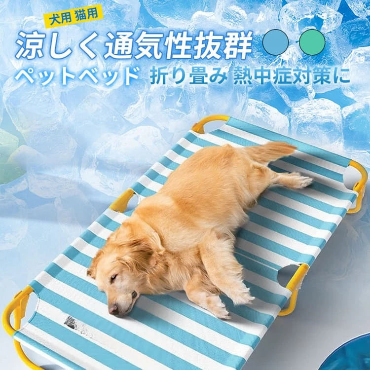 dfj45uhrtj456jrytjnrytrrttrye3.webp