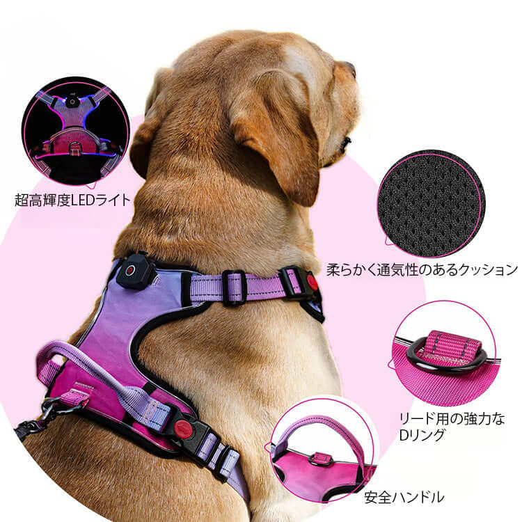 Amazon | Hakusan ゼロハーネス 負担軽減 犬用ハーネス サイズ