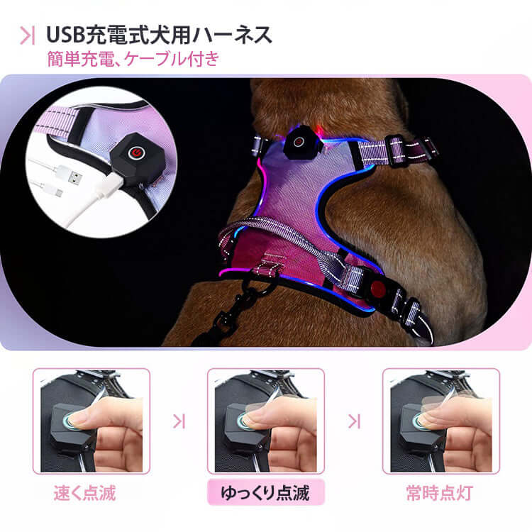giipet-犬用ハーネス　USB充電式　光る　アウトドアの安全対策　高い視認性　3モード-Giipet