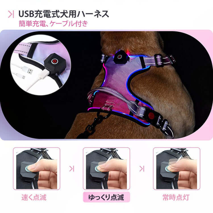 giipet-犬用ハーネス　USB充電式　光る　アウトドアの安全対策　高い視認性　3モード-Giipet