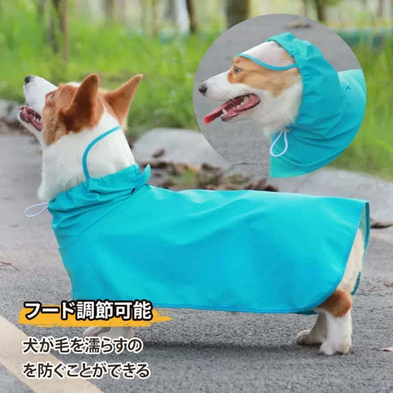 犬 レイン コート