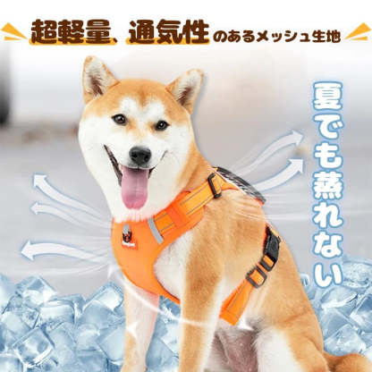 GUPED（グップド） 3m 5mナイロン犬用リード自動格納式耐久性猫