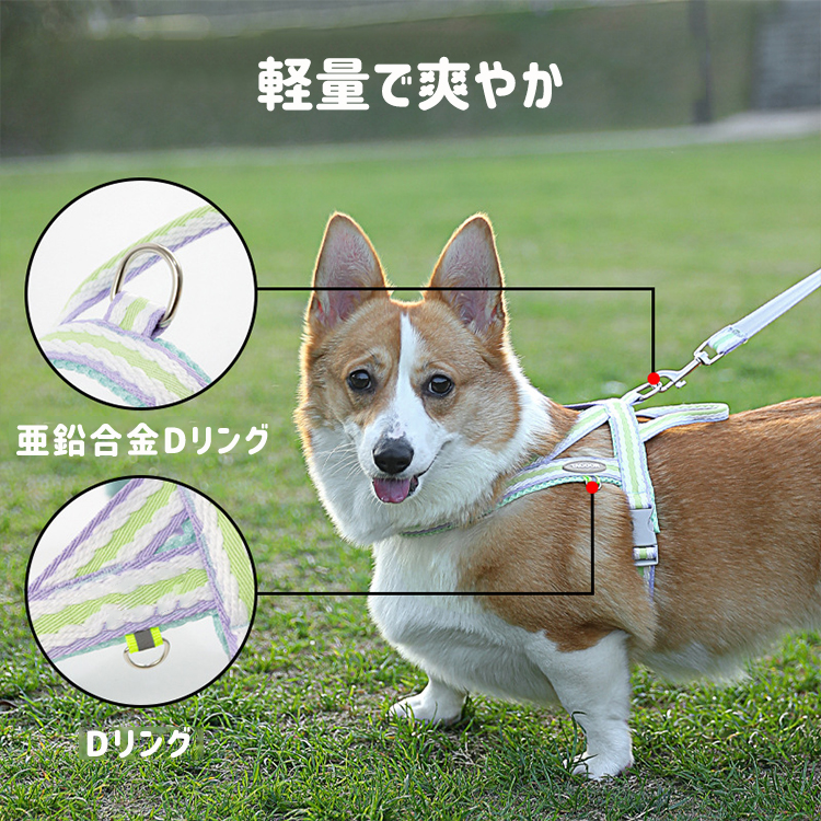 giipet-ペットハーネス　リードかわいい　引っ張り防止　抜けにくい　脱着便利